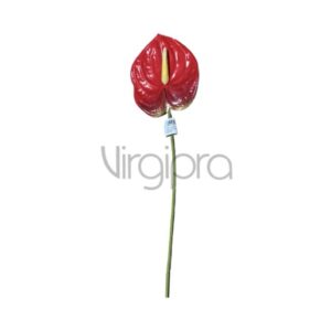 ERA1017 Anturis 51CM Nr.540