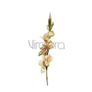 SUN-367 Kardelis 86CM LT GREEN LT PINK Nr.504