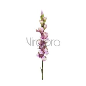 SUN-367 Kardelis 86CM POWER PINK GREEN Nr.503