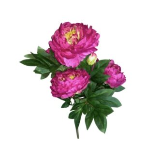 SUN – 122 Pinavija 65cm fuchsia/green Nr.325