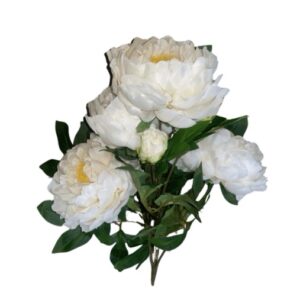 SUN – 122 Pinavija 65cm ivory Nr.324