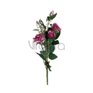 SUN – 130/78CM Rožė PINK Nr.490