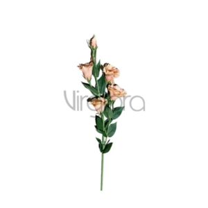 Dirbtinių gėlių šakos