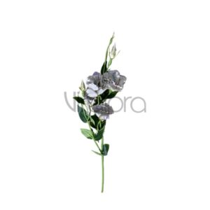 SUN – 345/76CM Eustoma GREY Nr.470