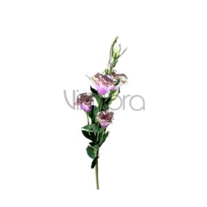 SUN – 345/76CM Eustoma POWER PINK GREEN Nr.468