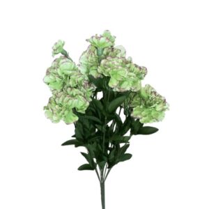 SUN – 495 Gvazdikai 50cm lt green edge purple Nr.336