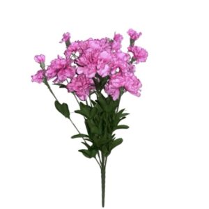 SUN – 495 Gvazdikai 50cm sweet pink edge pink Nr.340