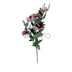 SUN – 508 Raganė 80CM Nr.531