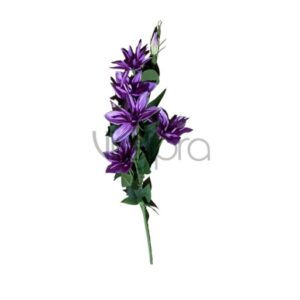 sun – 508 raganė 80cm nr.532