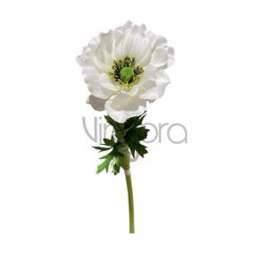 SUN – 556 Anemonas 51CM Nr.537