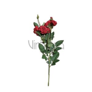 SUN – 598/71CM Rožė RED Nr.481