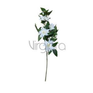 SUN – 667 Raganė 73CM Nr.529