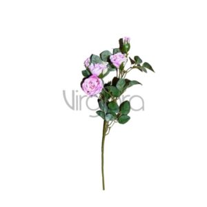 SUN – 761/52CM Rožytė DIRTY PINK Nr.479