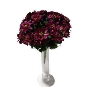 SUN470 Chrizantemų p Nr.442