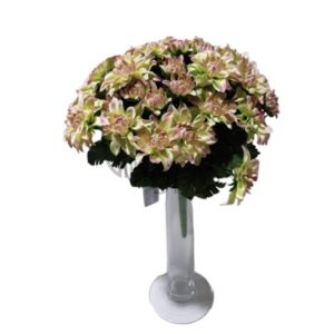 SUN470 Chrizantemų p. Nr.444