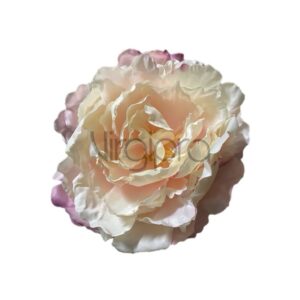 ART – 060 Bijūnas pearl pink edge beauty Nr.631