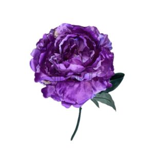 ART060 Pinavija 73cm VIOLET Nr.587