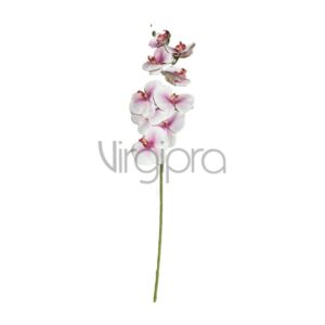 GK150-01 Orchidėja 94cm light pink/white edge Nr.603