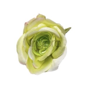 MGHT Rožė lt green edge pink Nr.634