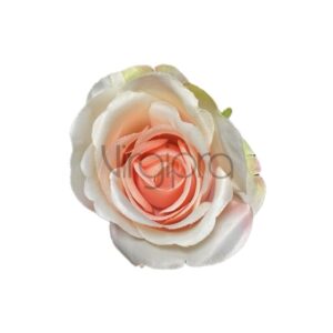 MGHT Rožė melon Nr.641