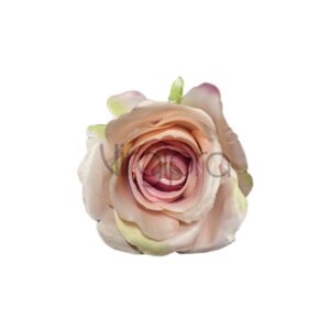 MGHT Rožė misty rose Nr.635