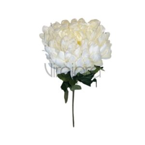 my 230 chrizantema 72cm #2 nr.564