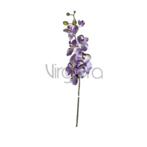 SUN – 315 Orchidėja 99CM DIRTY/VIOLET Nr.558