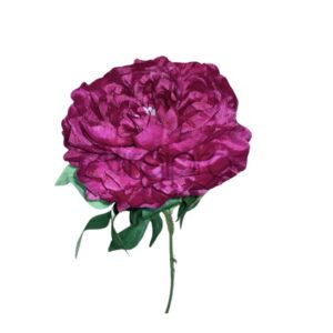 SUN – 406 DEEP FUCHSIA PINAVIJA Nr.596