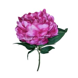 SUN – 406 PINK PINAVIJA Nr.599