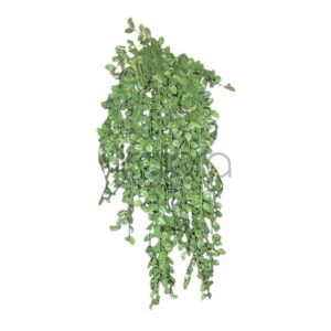 TIK 090 Kabanti žaluma 80cm Nr.740