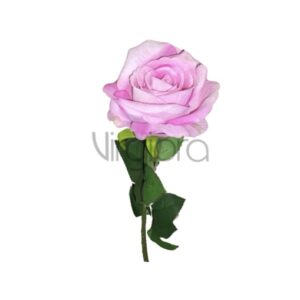 Veliurinė rožė 70cm LT PINK Nr.578