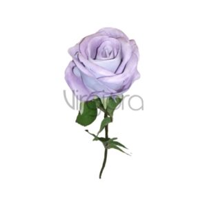Veliurinė rožė 70cm LT VIOLET Nr.580
